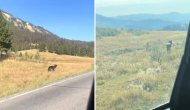 Yahoo lifestyle home