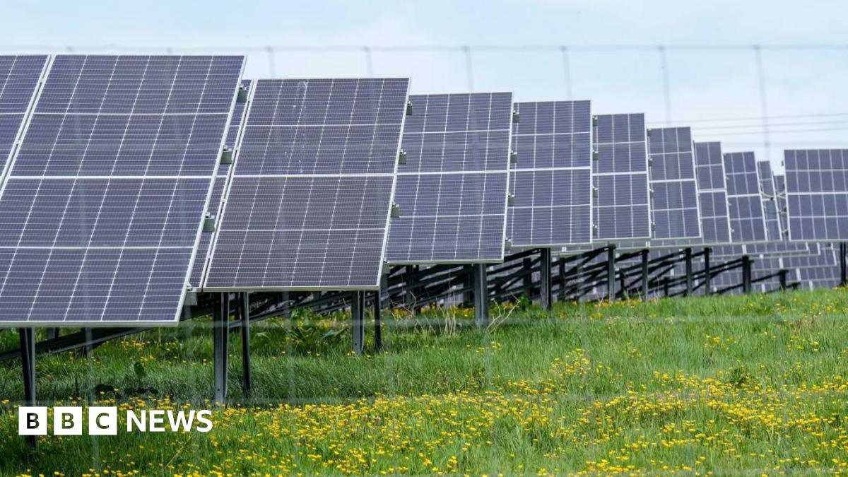Rows of solar panels in a field of grasses and yellow wild flowers. There is a light blue sky in the background.