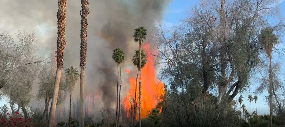 BREAKING: Firefighters battle brush fire on Prescott Preserve in Palm Springs