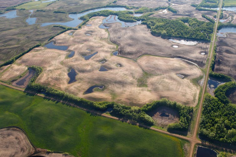 An aerial photo of prairie wetlands embedded in an agricultural field.