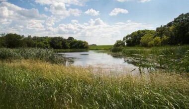 Draining wetlands produces substantial emissions in the Canadian Prairies