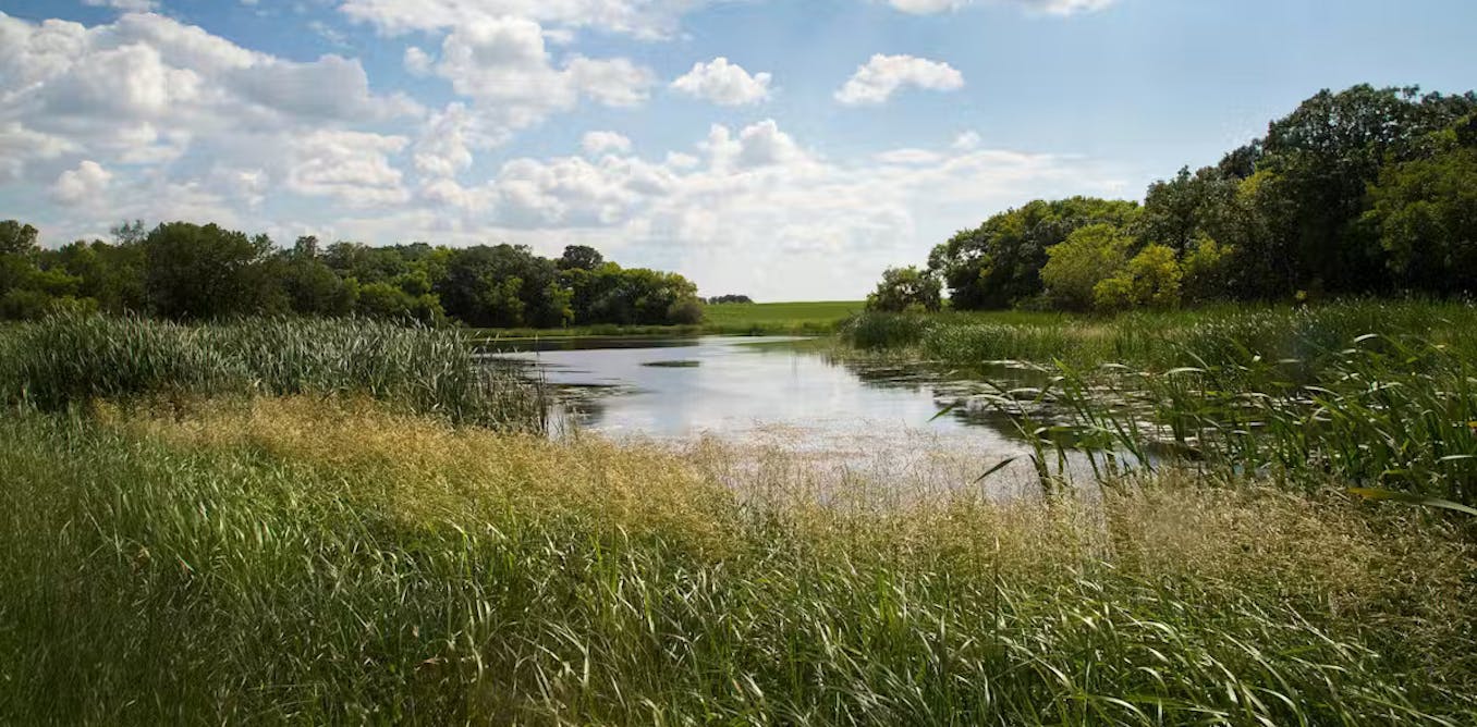 Draining wetlands produces substantial emissions in the Canadian Prairies