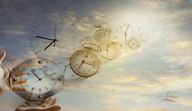 Animals’ perception of time is linked to the pace of their life – new study