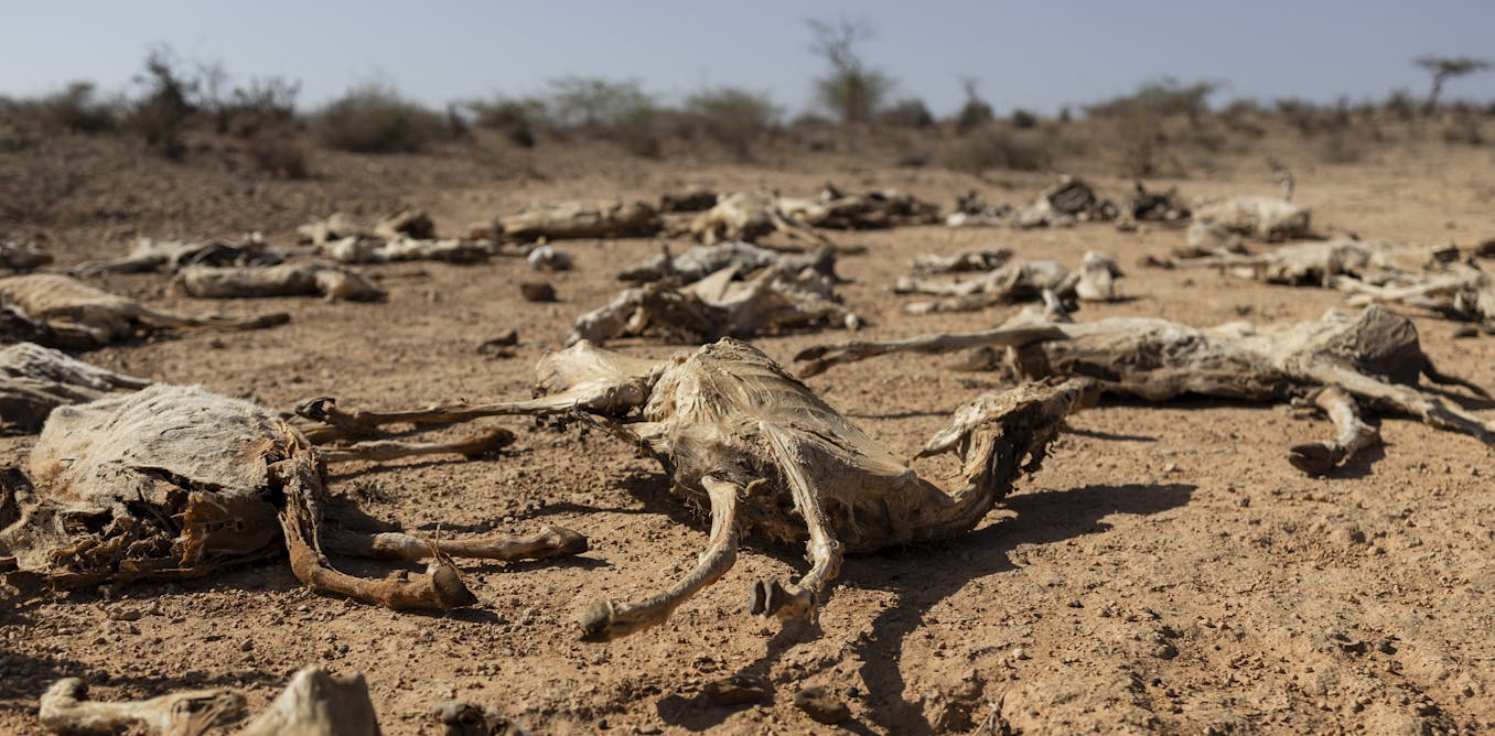 Climate change could expose 1.1 billion people to hunger by 2100 (but there’s good news too) – AI modelling study