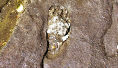 Footprints rewrite the timeline of human arrival in the Americas