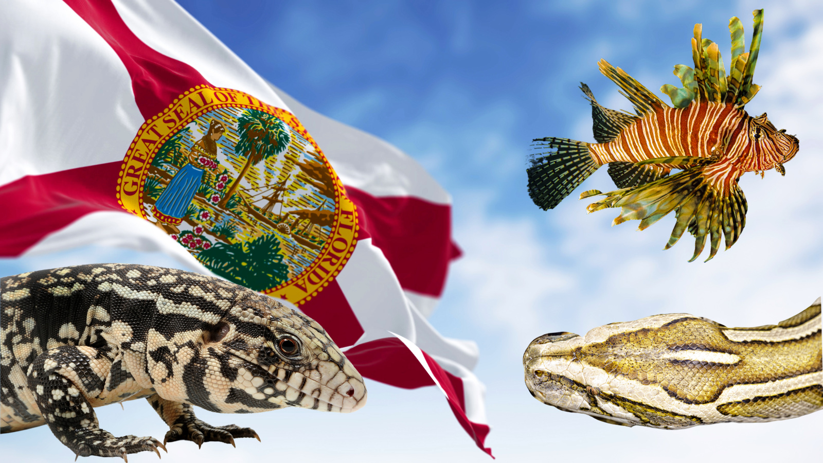 Florida flag flying next to Everglades Dirty Dozen invasive species