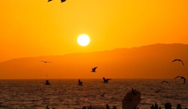 Parts of Southern California could see record-breaking heat Friday