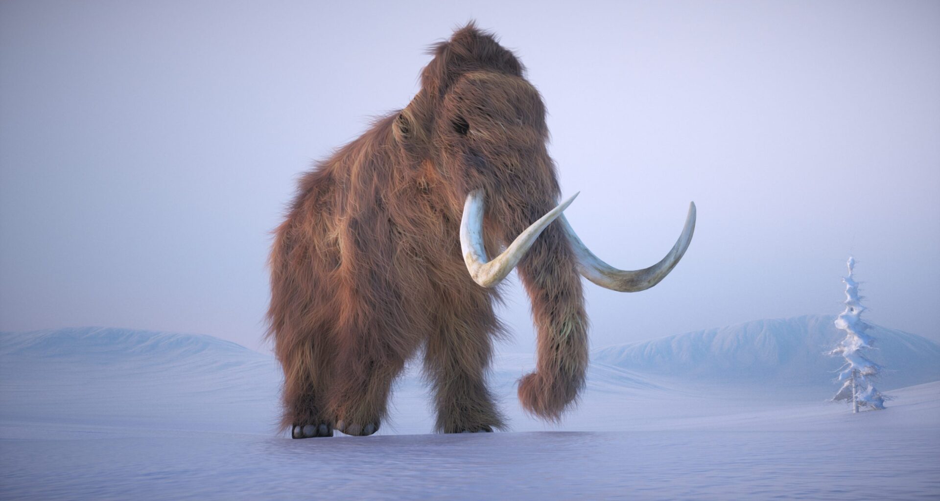 Dude Pulls Massive Prehistoric Mammoth Or Mastodon Femur Out Of River