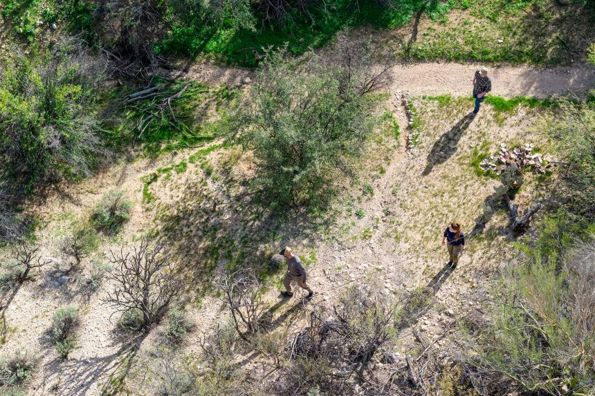 Members of the FBI surveil an area around Nancy Guthrie's Arizona home on February 11, 2026.