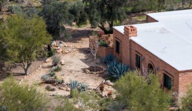 Accomplice not ruled out in Nancy Guthrie disappearance, Arizona sheriff says