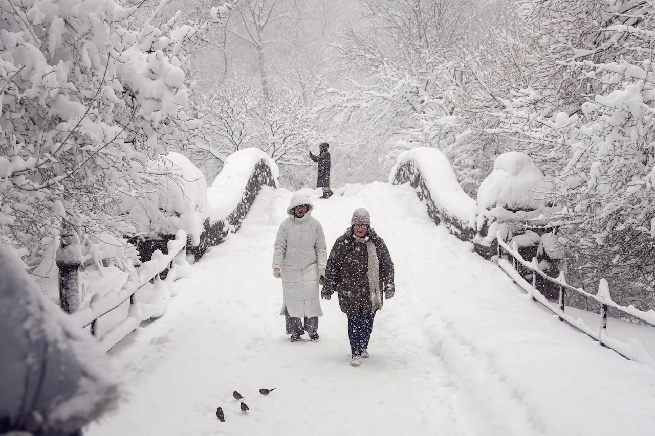 People admire the snow in Central Park on Feb. 23 in New York City. 