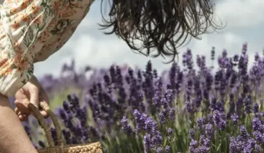 Givaudan to invest CHF 55 million in Grasse, France to build ‘Campus 52’, its new centre of excellence dedicated to House of Naturals organisation