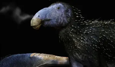 125 million-year-old dinosaur with never before seen hollow spikes discovered in China