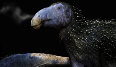 This Strange Spiky Dinosaur Had Skin Unlike Anything We've Ever Seen : ScienceAlert