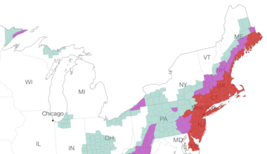 Tracking the February 2026 bomb cyclone in maps and charts