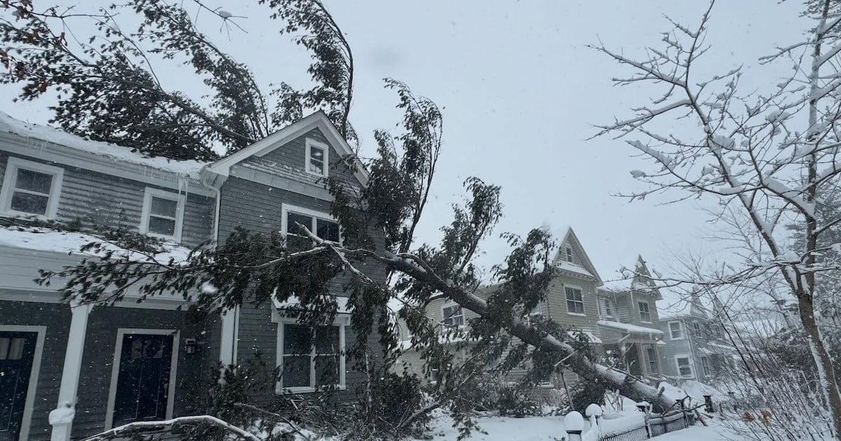 First Mass. blizzard in years bringing heavy snow, powerful wind gusts – Boston 25 News