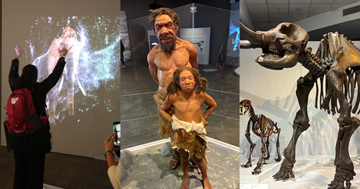 See mega animals, experience augmented reality at Fernbank’s ‘Planet Ice’ – WSB-TV Channel 2