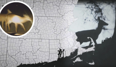 Massachusetts hunts for solutions in population problem spots – Boston 25 News