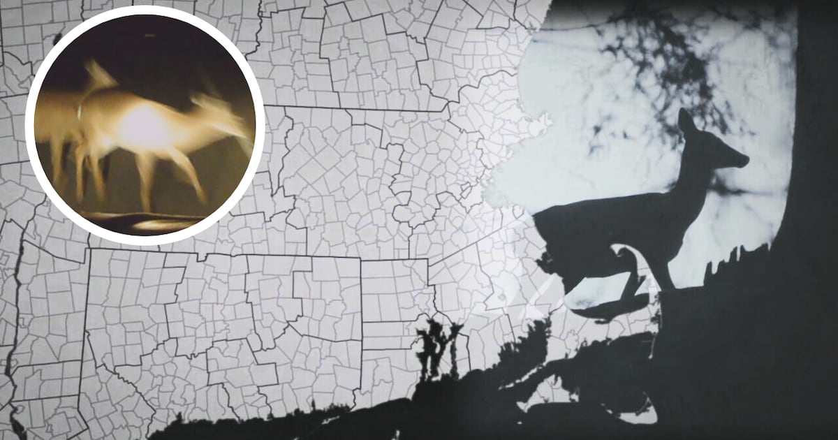 Massachusetts hunts for solutions in population problem spots – Boston 25 News