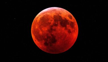 Blood moon total lunar eclipse, when you can see the phenomenon – WHIO TV 7 and WHIO Radio