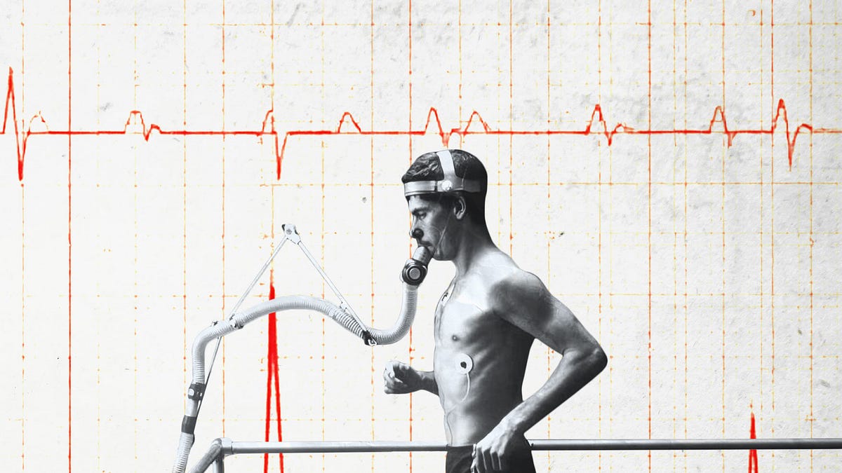 Arthur Brooks: Stress Makes Life Meaningful