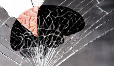 Human Brain On Cracks, Broken Mirror Texture