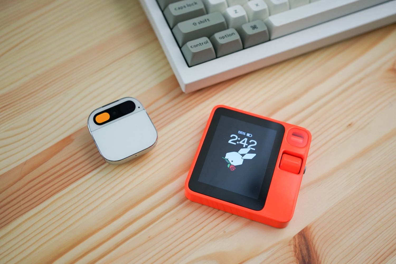 Humane Ai Pin and Rabbit R1 AI devices