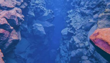 Hundreds Of Deep Canyons Discovered Around Antarctica