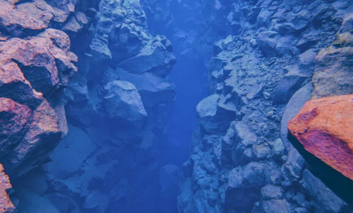 Hundreds Of Deep Canyons Discovered Around Antarctica