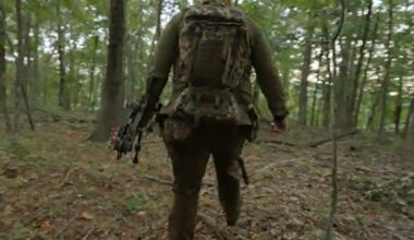 On the hunt for bear in the Ozarks