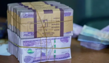 When the State Takes All the Credit