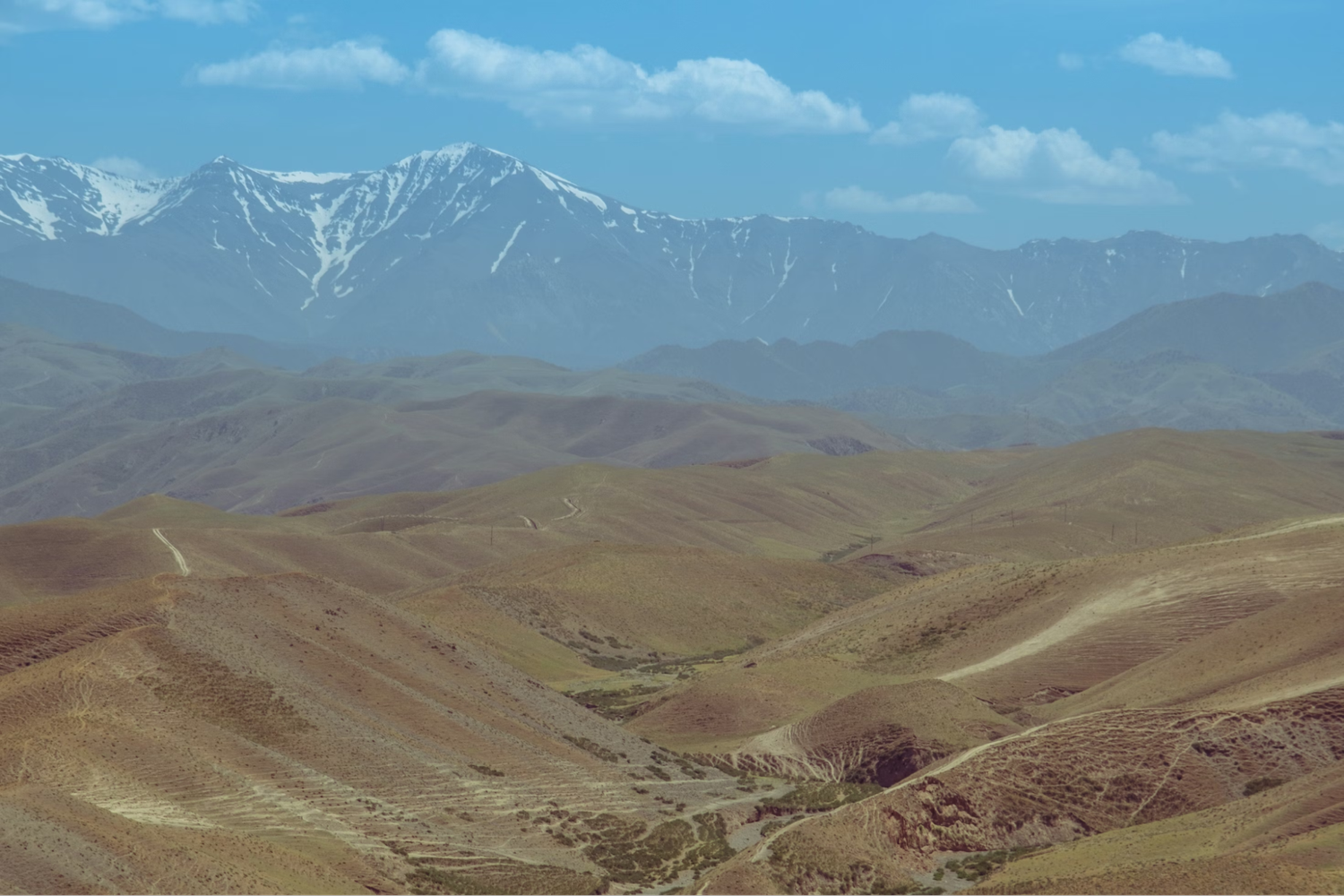 Deepening Cooperation with the United States — Bloomsbury Intelligence and Security Institute (BISI)