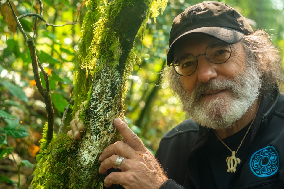 Paul Stamets in a hat and glasses 