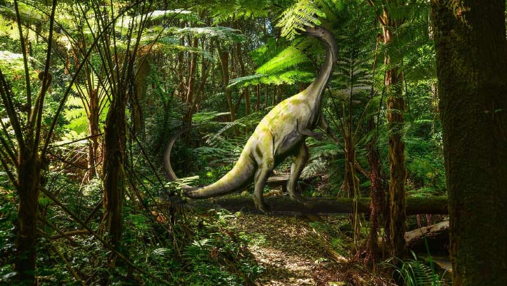 Small Triassic Dinosaur from Brazil Sheds New Light on Sauropodomorph Growth Strategies