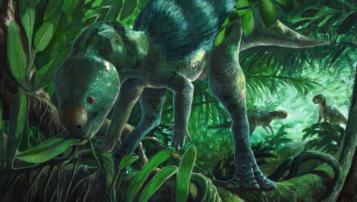 Tiny New Species of Herbivorous Dinosaur Unearthed in Spain