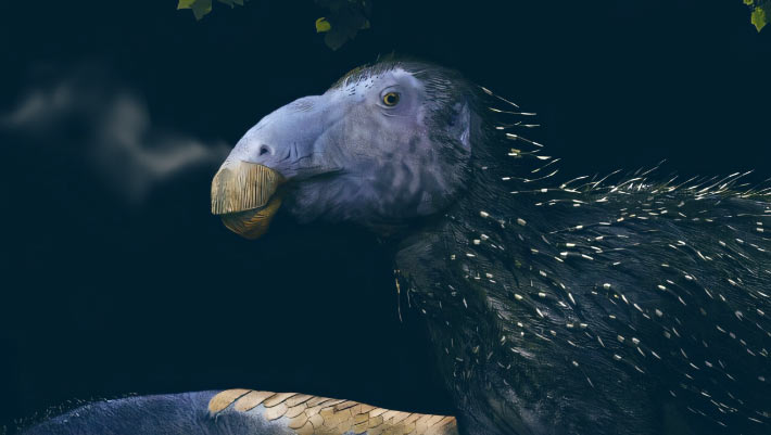 Paleontologists Unearth New Dinosaur Species with Never-Before-Seen Skin Structures