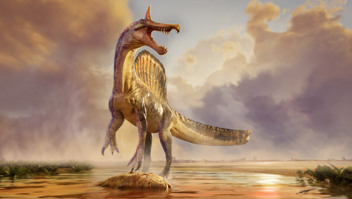 New Spinosaurus Species Discovered in Niger