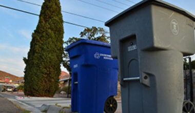 Trash and recycling bins sit out curbside for pickup.