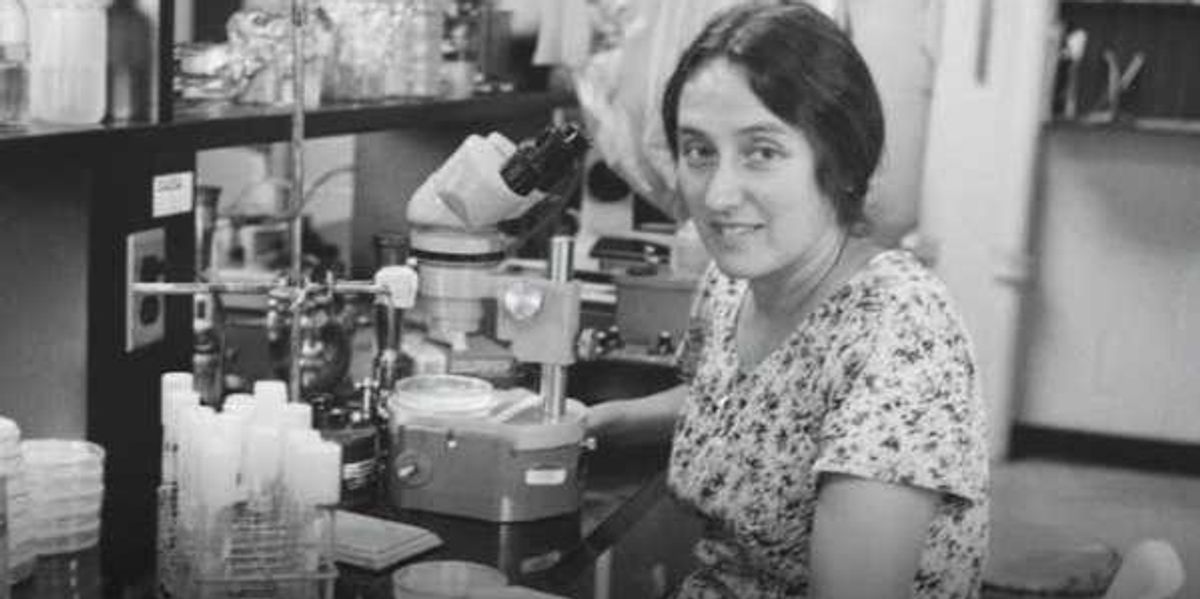 Her groundbreaking theory on the origin of life was rejected 15 times. Then biology proved her right.