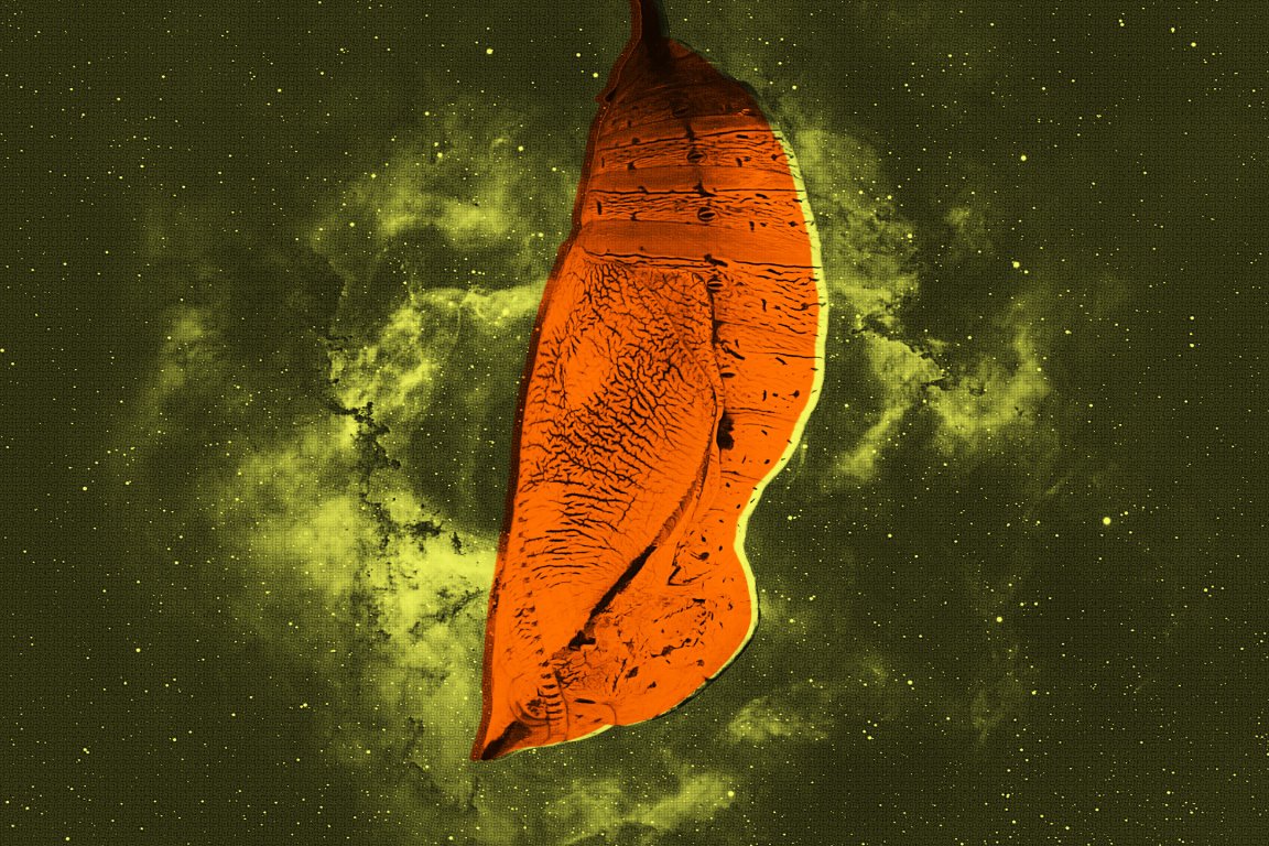 Astronomers say that ancient almost impossibly massive "Little Red Dots" may be black holes trapped in "cocoons."