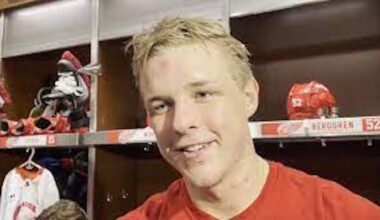 Jonatan Berggren, Red Wings, Todd mcLellan,