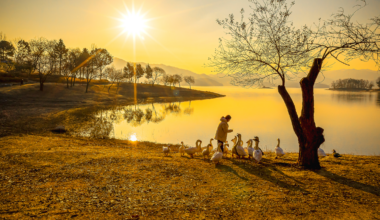 From life-saving teamwork to quiet acts of love: award-winning photos that celebrate kindness