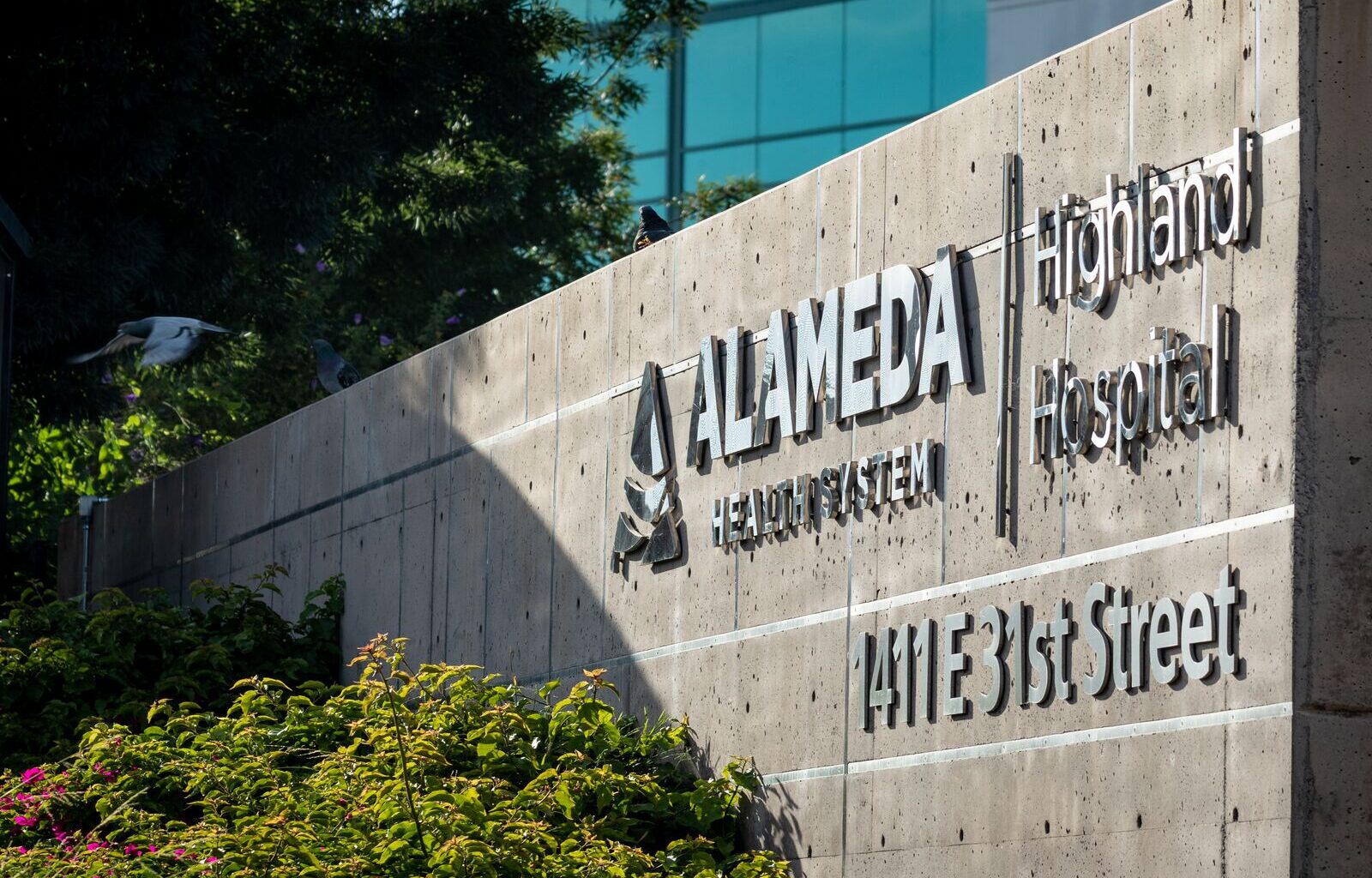 Public hearing for proposed Alameda County health care service reductions