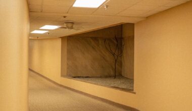 How Liminalism Became the Defining Aesthetic of Our Time