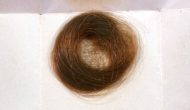 Mormon Hair Clippings Preserve Legacy of US Ban on Leaded Gas : ScienceAlert