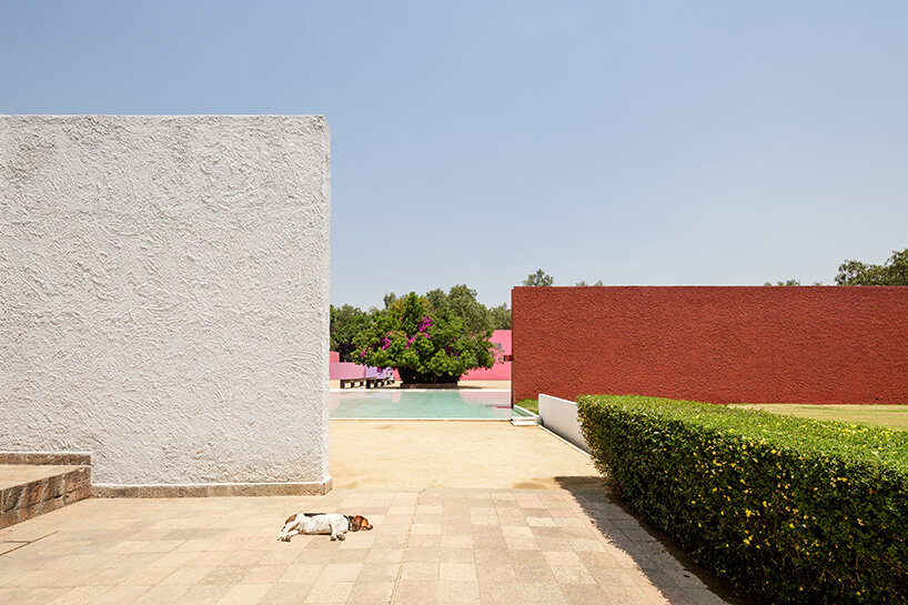 luis barragán's la cuadra san cristóbal reopens to the public with two exhibitions in mexico - 2