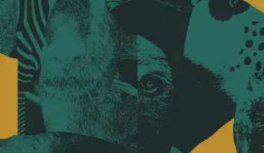 Luke Temple, Mirah, Angel Du$t, more