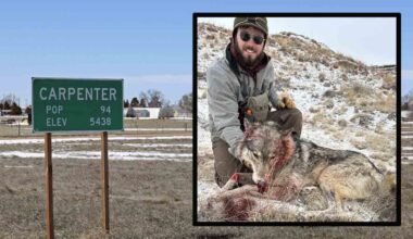 Cowboy State Daily logo