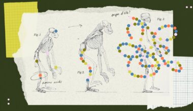 Metabolism, not cells or genetics, may have begun life on Earth