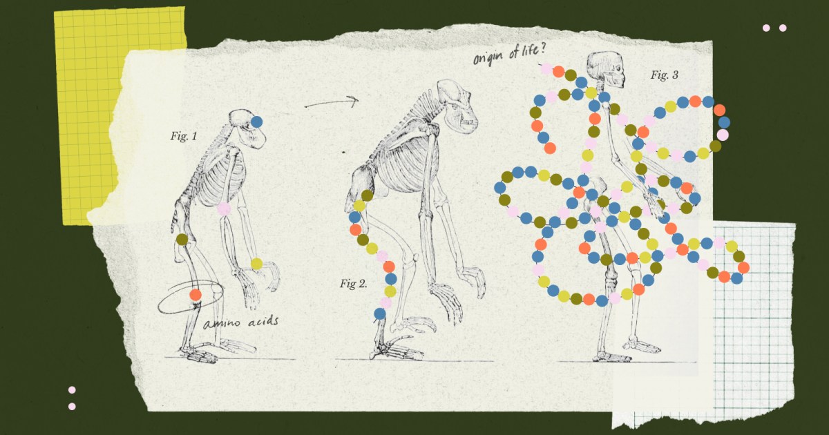 Metabolism, not cells or genetics, may have begun life on Earth